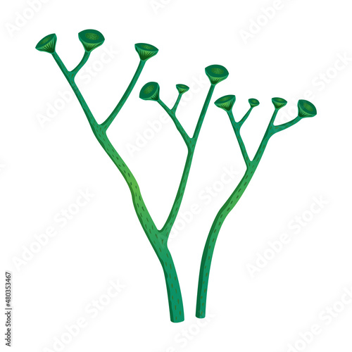 Prehistoric Plant Illustration