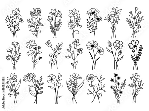 Set of branch flower. Collection of flowering plant with leaves. Set of wild flower. Botanical. Vector illustration or natural elements on white background.