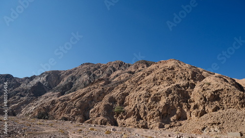 Sinai mountains and oaisis