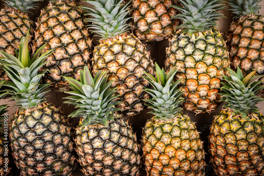 Tasted and fresh pineapple as a background Tasted and fresh pineapple as a background