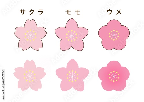 シンプルでかわいい桜の花、桃の花、梅の花のイラスト　