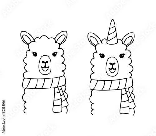 Hand drawn funny portrait of baby llama iwith scarf. Black and white line drawing alpaca unicorn for coloring page . Cute outline vector illustration isolated on white background.