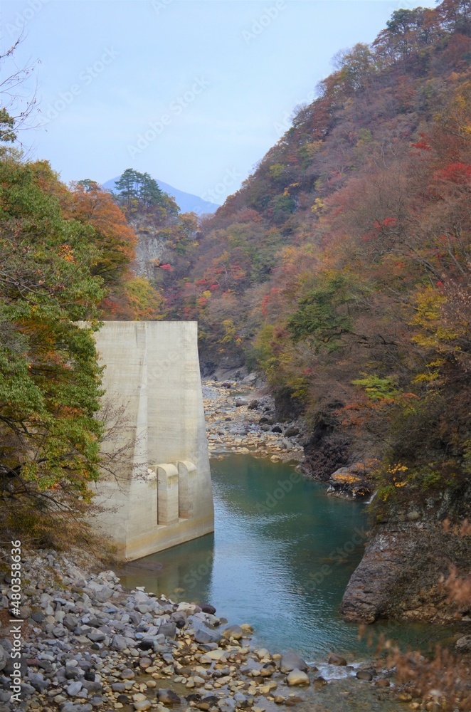 消えゆく渓谷