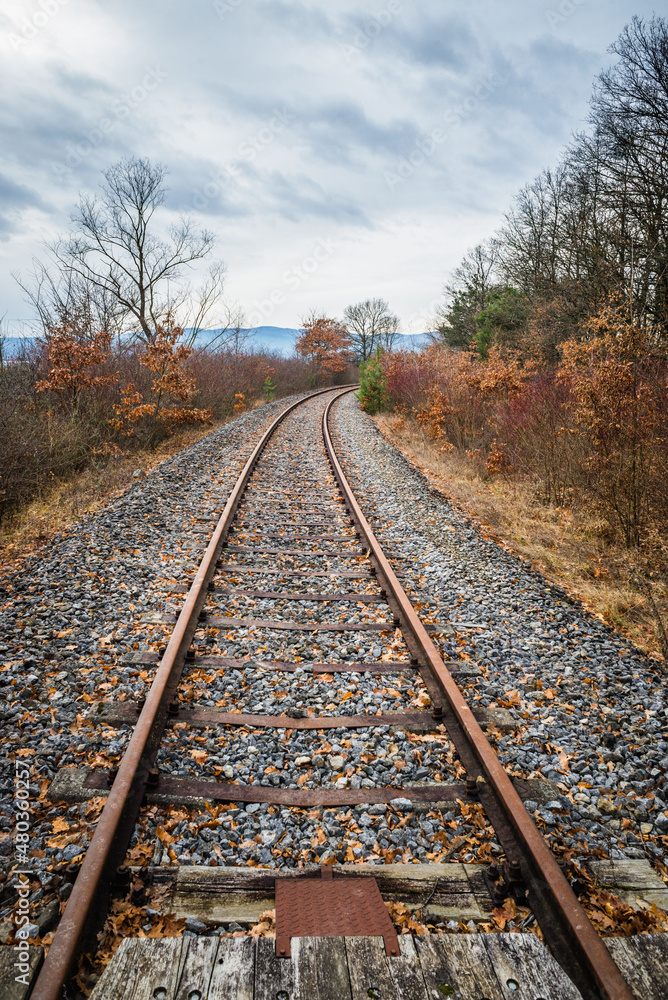 Fototapeta premium The railway passes through the autumn forest