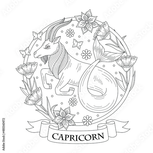 capricorn horoscope illustration with outline or doodle style