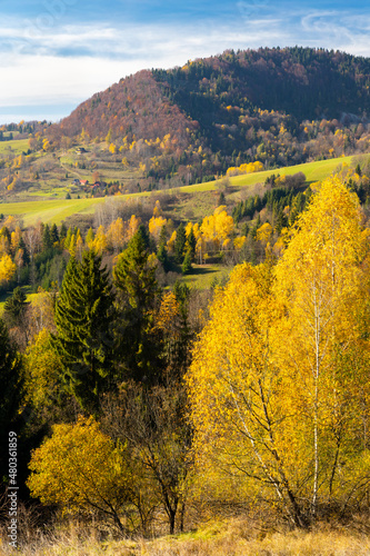Fototapeta Naklejka Na Ścianę i Meble -  Autumn landscape inMala Fatra mountains, Slovakia