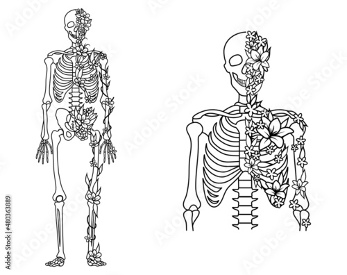 Set of skeleton with flowers. Collection of people bones with floral wreath. Human anatomy. Vector illustration isolated on white background.