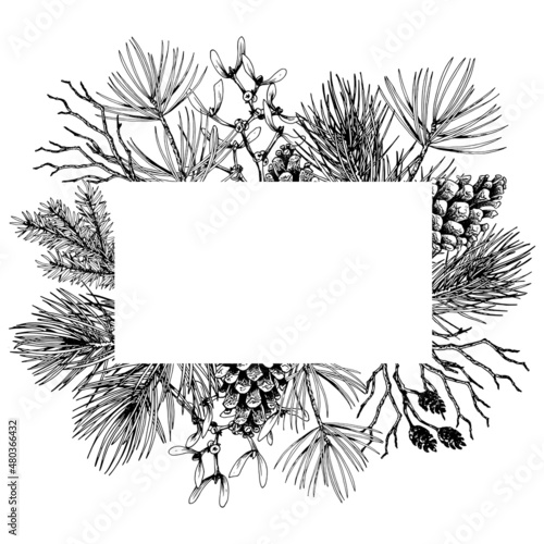 Square frame with forest branches and cones. Black and white hand drawn vector illustration.