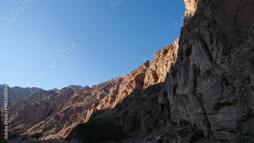 Sinai mountains and oaisis © Ayman