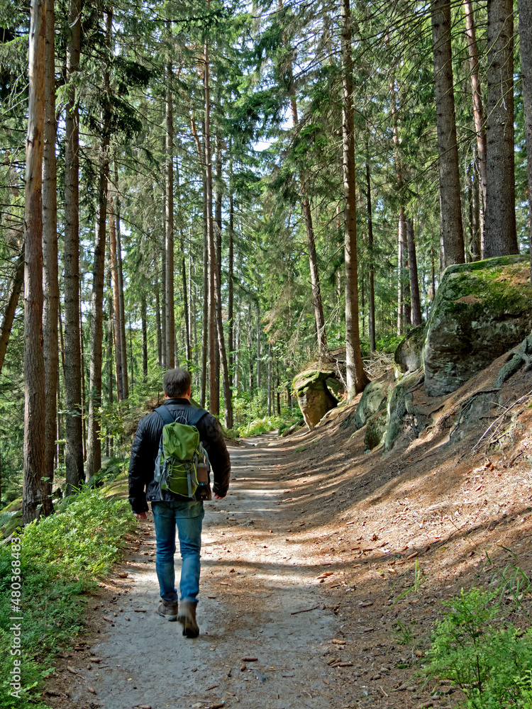 Ein Mann wandert alleine auf einem Waldweg in im Nationalpark Sächsische Schweiz, Elbsandsteingebirge