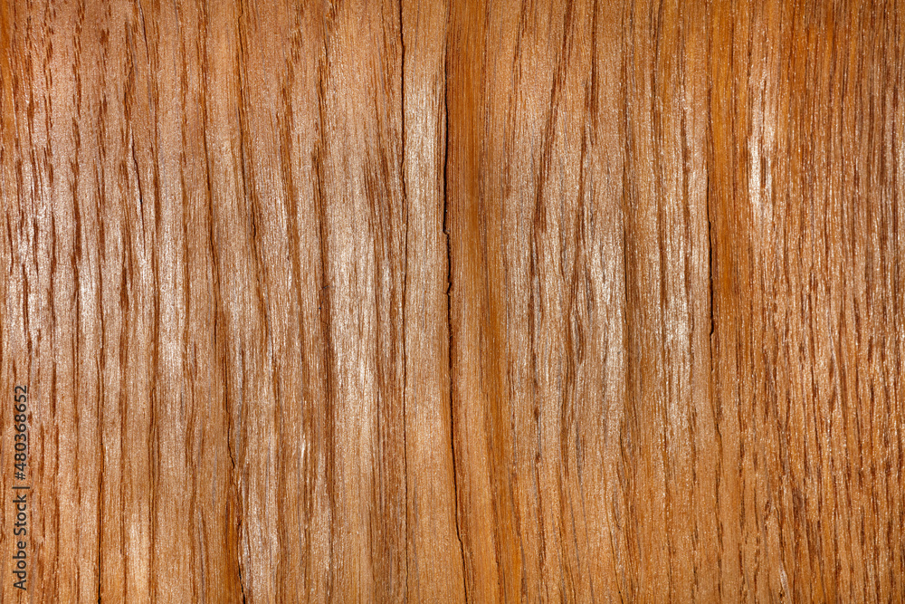 Oak veneer texture with bulges and cracks. Oak veneer texture with bulges and cracks.