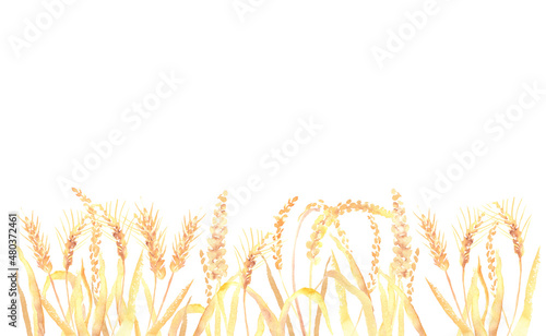 水彩で描いた麦畑のイラスト