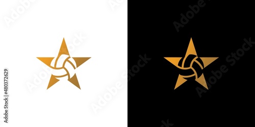 Modern and elegant volleyball star logo design