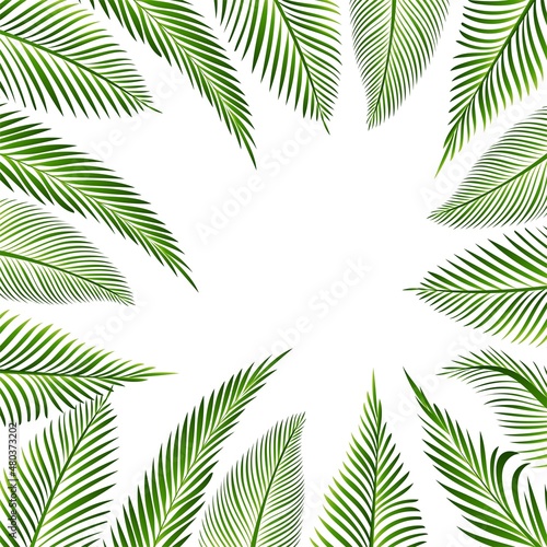 Beautiful decorative green palm leaf tropical background