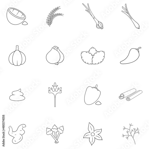 Spice icon set outline