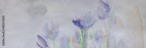 Spring neutral background. Crocuses horizontal aquarelle. Pastel colors wallpaper. Simple delicate artwork. Effortlessness springtime concept.
