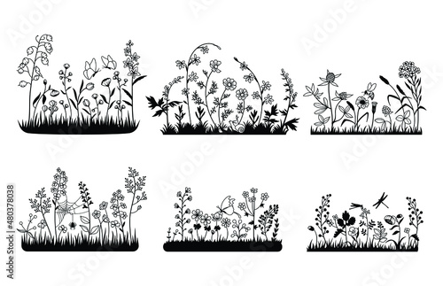 Set of field flowers. Collection of summer plants with insects. Floral glade with grass and plants. Wild flower. Vector illustration of vinyl sticker on the wall.