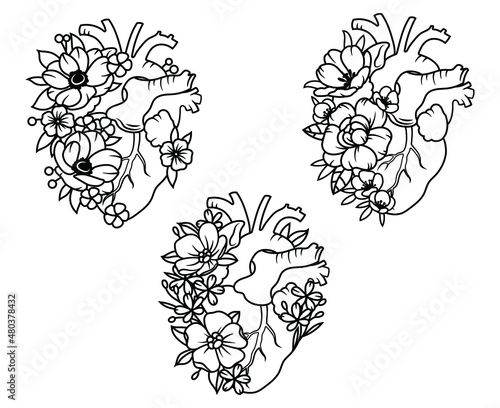 Set of flower human heart. Сollection of human heart with flowers wreath. Valentine card. Anatomy. Vector illustration on a white background. Tattoo.