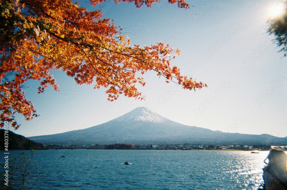 河口湖　紅葉　富士山