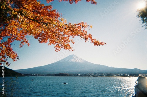 河口湖 紅葉 富士山
