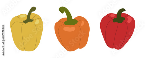 Set of bell peppers. Colorful vector illustration.