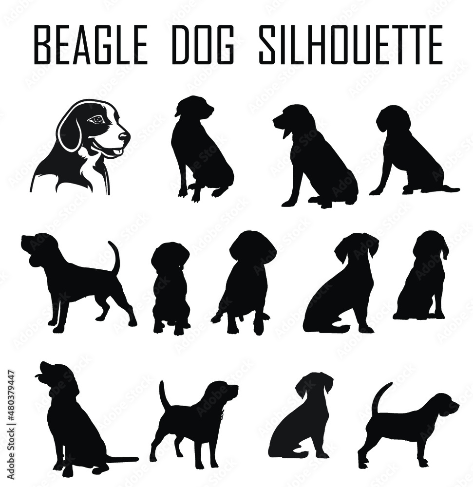 Beagle dog animal silhouette, Dog breeds silhouette, Animal silhouette symbol, Vector dog breeds silhouettes set 09
