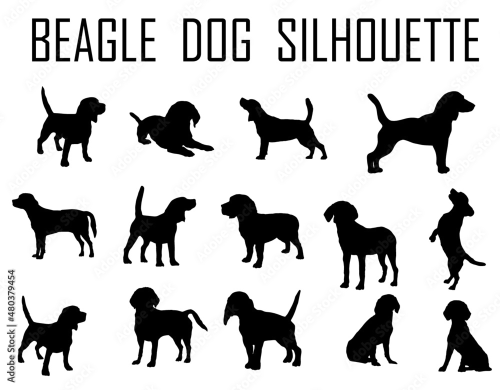 Obraz Beagle dog animal silhouette, Dog breeds silhouette, Animal silhouette symbol, Vector dog breeds silhouettes set 08