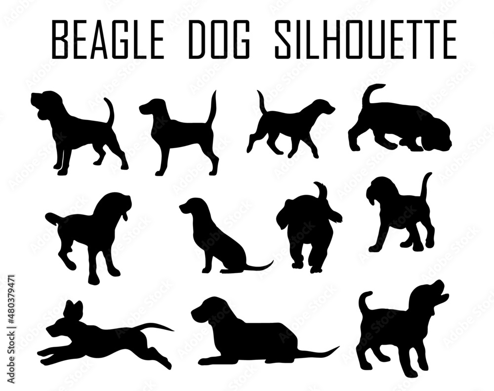 Obraz Beagle dog animal silhouette, Dog breeds silhouette, Animal silhouette symbol, Vector dog breeds silhouettes set 06