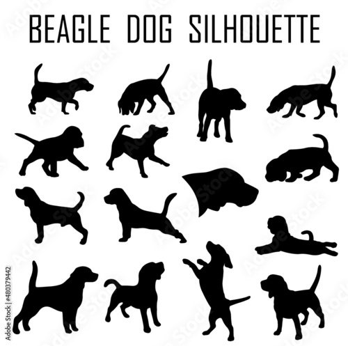 Beagle dog animal silhouette, Dog breeds silhouette, Animal silhouette symbol, Vector dog breeds silhouettes set 10