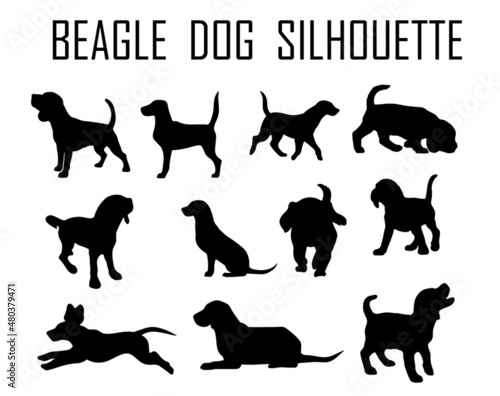 Beagle dog animal silhouette  Dog breeds silhouette  Animal silhouette symbol  Vector dog breeds silhouettes set 06