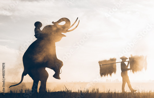 Photography Cinematic representation of countryside culture of thailand