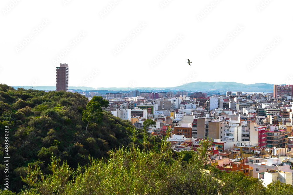 Obraz premium View of the roofs of the buildings of Alicante from the top of the Castillo Santa Barbara