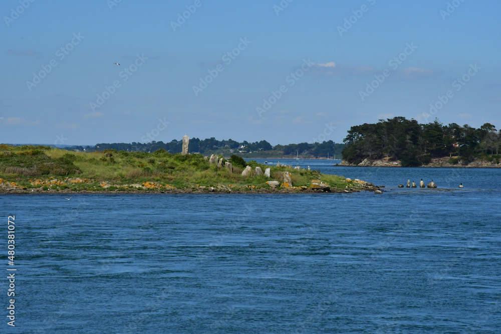 France - june 6 2021 : Morbihan gulf
