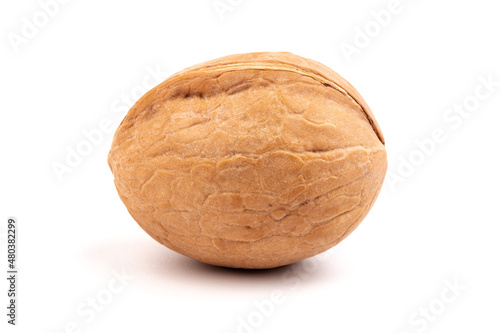 Walnuts in shells isolated on white background. Package design element with clipping path.