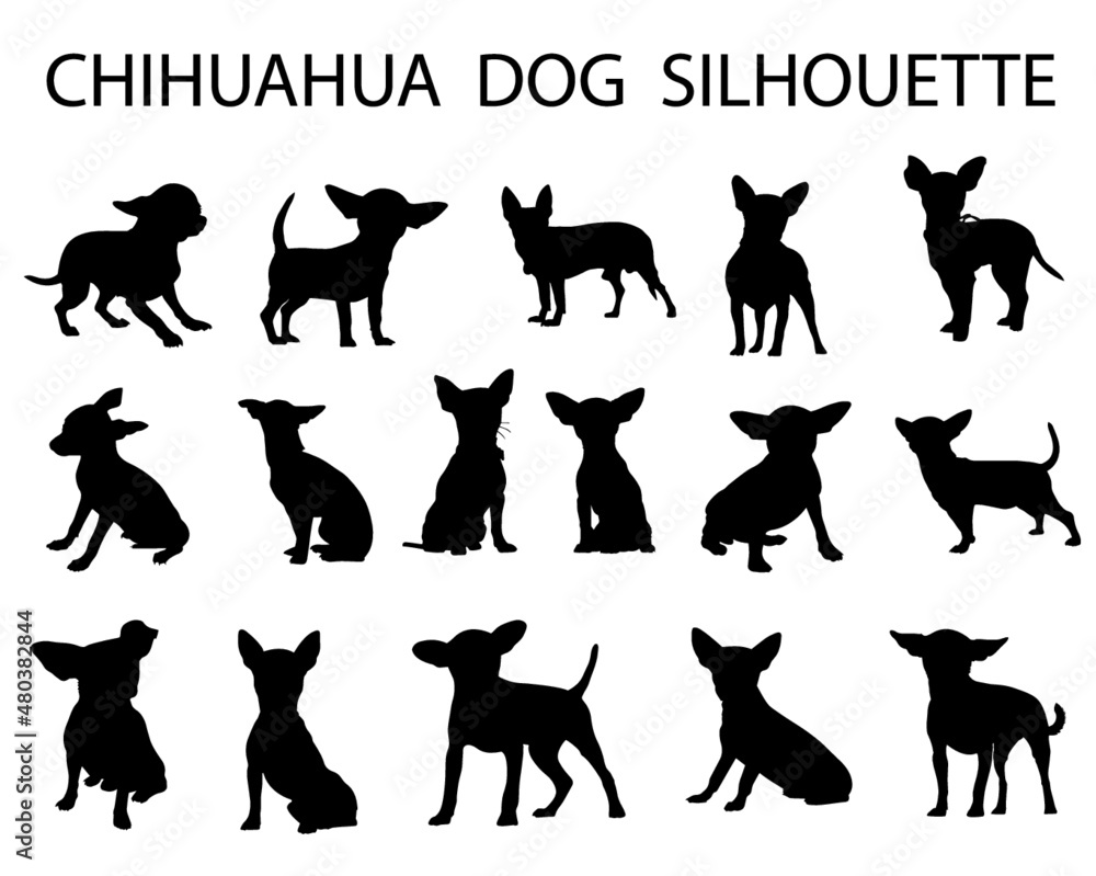 Chihuahua  dog animal silhouette, Dog breeds silhouette, Animal silhouette symbol, Vector dog breeds silhouettes set 05