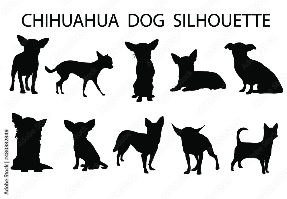 Chihuahua  dog animal silhouette, Dog breeds silhouette, Animal silhouette symbol, Vector dog breeds silhouettes set 04