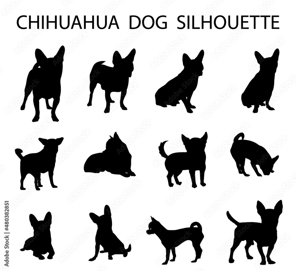 Chihuahua  dog animal silhouette, Dog breeds silhouette, Animal silhouette symbol, Vector dog breeds silhouettes set 03