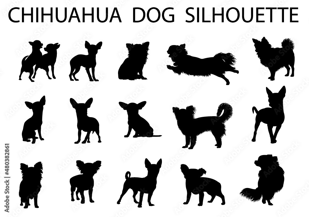 Chihuahua  dog animal silhouette, Dog breeds silhouette, Animal silhouette symbol, Vector dog breeds silhouettes set 02
