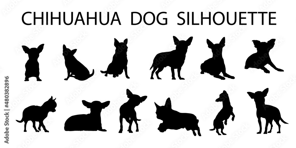 Chihuahua  dog animal silhouette, Dog breeds silhouette, Animal silhouette symbol, Vector dog breeds silhouettes set 01