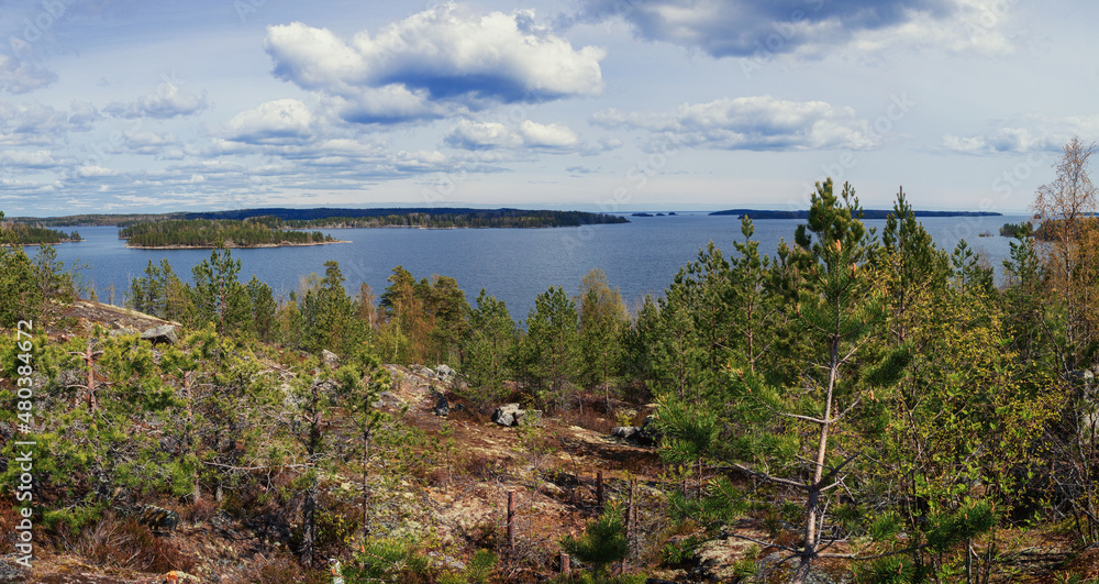 forest on stones over Lake Ladoga on a summer day