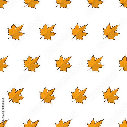 Autumn Leaves Seamless Pattern On A White Background. Autumn Leaves Or Fall Foliage Theme Vector Illustration