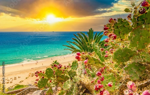  Strand von Esquinzo, Fuerteventura, kanarische Inseln, (Kanaren, Spanien) 