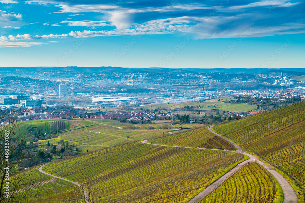 Germany, Stuttgart city houses, arena, vineyard, skyline and industry panorama landscape