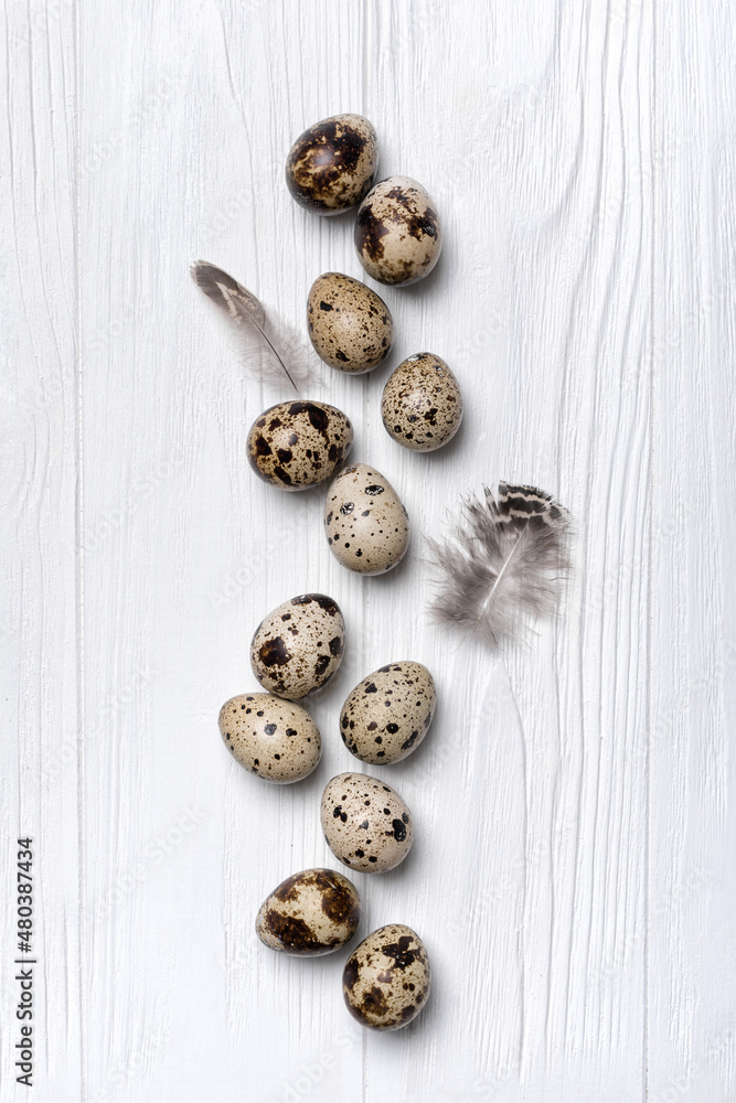 Background with small quail eggs and feathers Background with small quail eggs and feathers