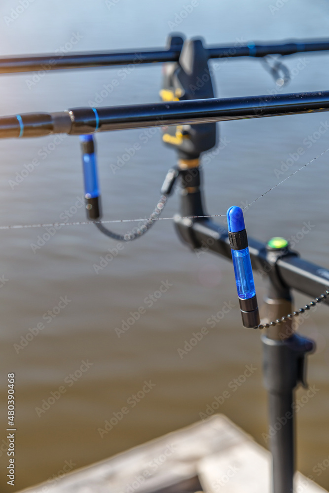 Carp fishing rods.Carpfishing session at the Lake.Catching fish. The Common Carp (Cyprinus Carpio). Carp fishing rods.Carpfishing session at the Lake.Catching fish. The Common Carp (Cyprinus Carpio).