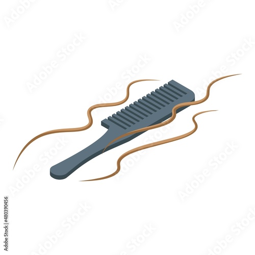 Curly hair comb icon isometric vector. Brush object