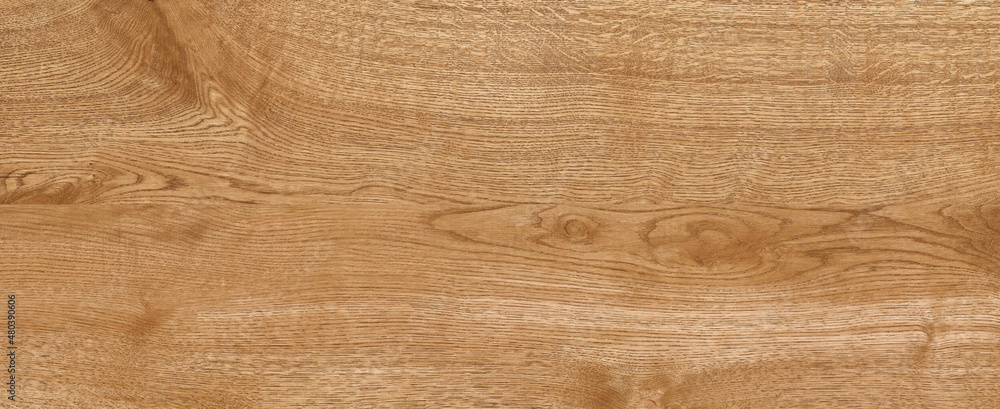 Oak wood texture background