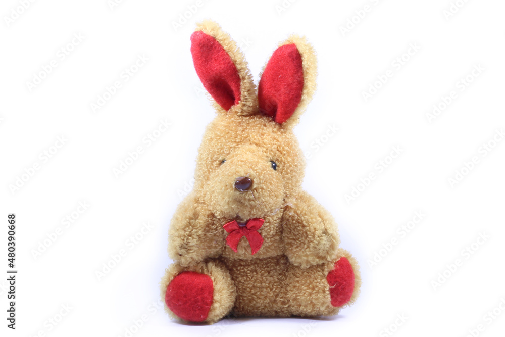 rabbit rabbit