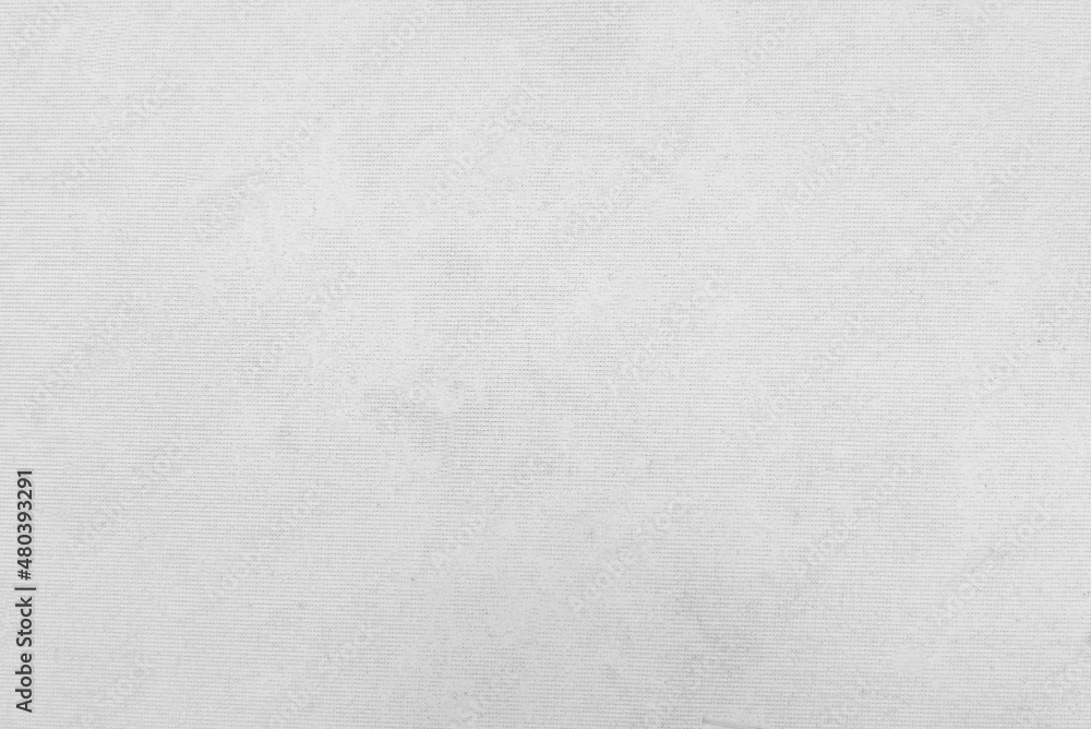 White old velvet fabric texture used as background. Empty white fabric background of soft and smooth textile material. There is space for text..