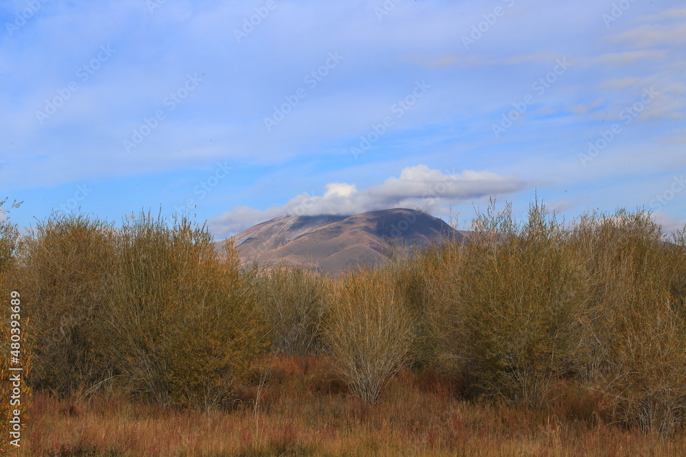 landscape in the Altai mountains landscape in the Altai mountains